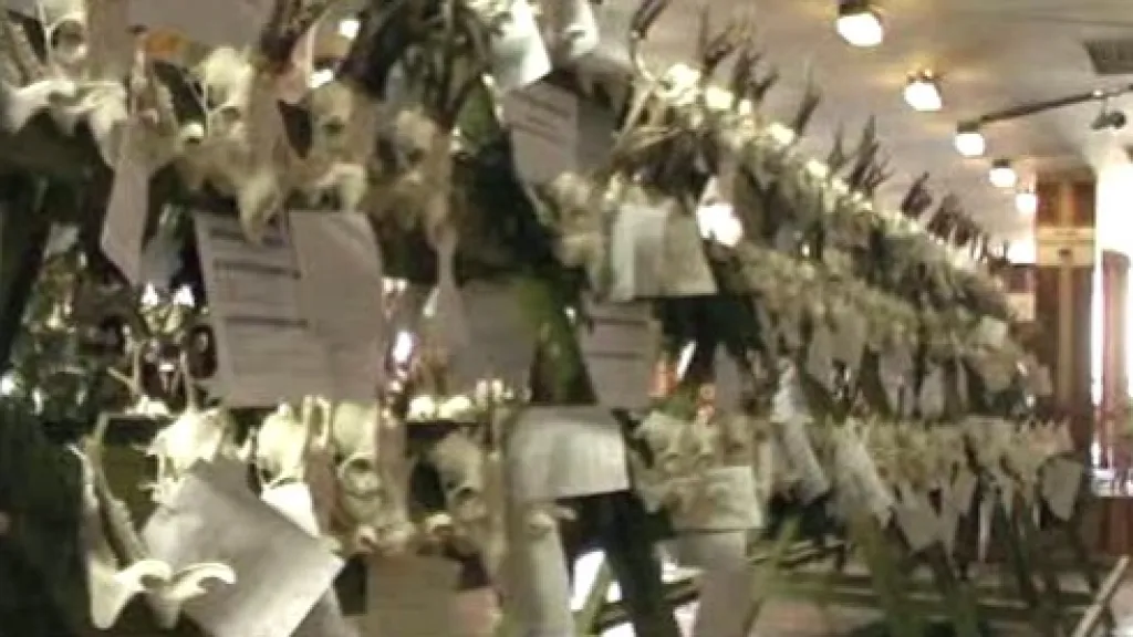 Lovecké trofeje