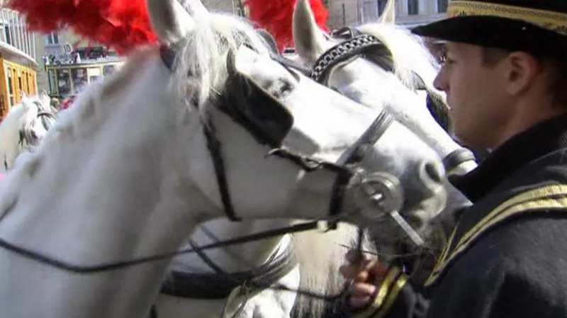 Koně v čele tramvaje