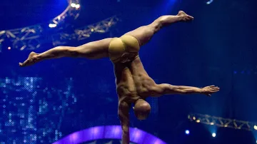 Show Cirque de Soleil