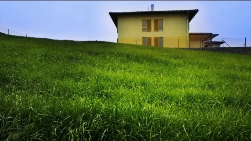 Reportáž Michaely Polákové