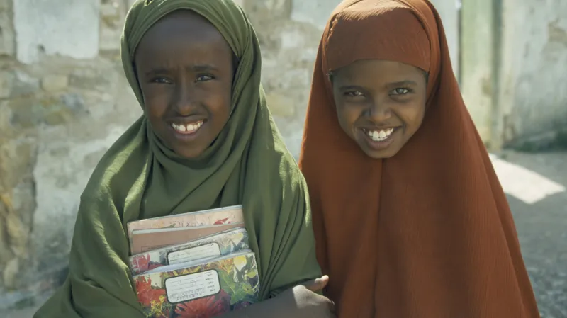 Vzdělání v Africe