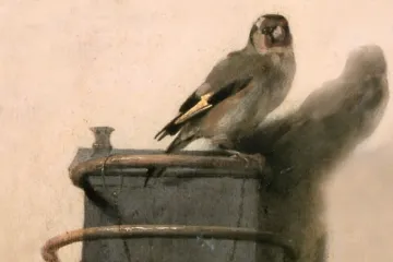 Recenze: Stehlík klame oko i tělem