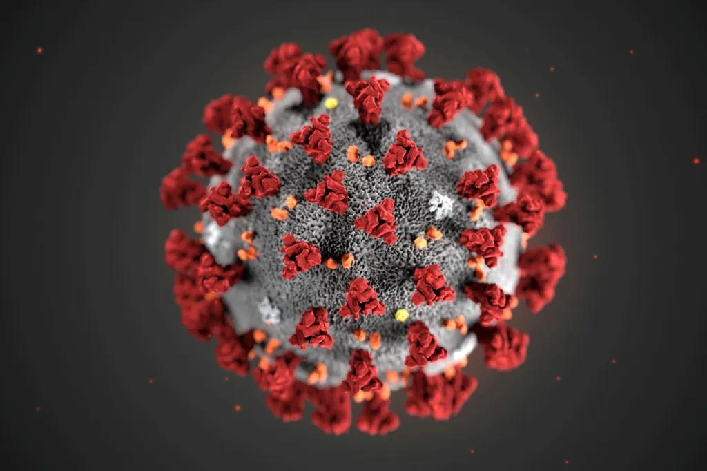 Vědci ukázali vizualizaci nového koronaroviru. Na snímku je ilustrace 2019-nCOV, kterou vytvořilo speciální Centrum pro kontolu chorob a prevenci (CDC) v americké Atlantě