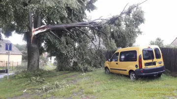 Silné bouřky na Plzeňsku vyvracely stromy