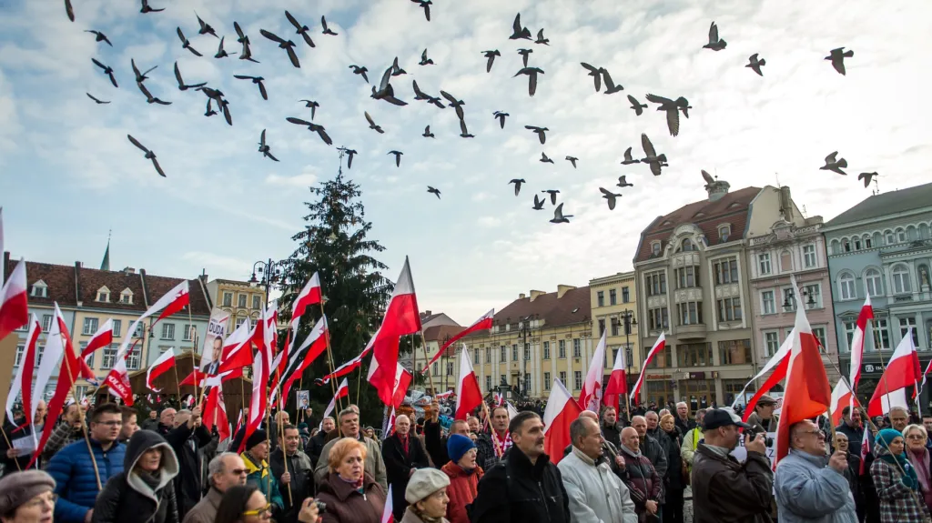 Demonstrace příznivců nové konzervativní vlády