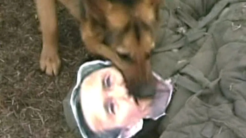 Severokorejský pes trhá figurínu s podobiznou Kim Kwan-čina