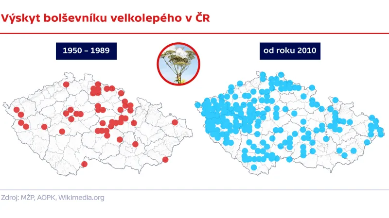 Výskyt bolševníku velkolepého v ČR