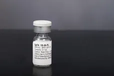 Americký armádní výzkumný ústav dokončuje vakcínu proti všem smrtícím koronavirům