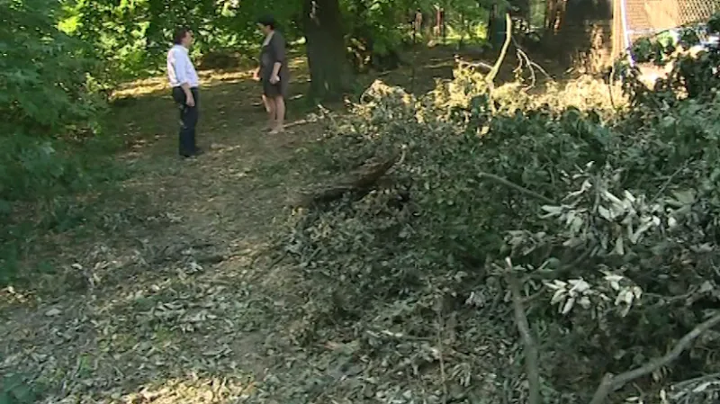 Podle majitelky zámku Evy Gajdošík je přestárlý park nebezpečný