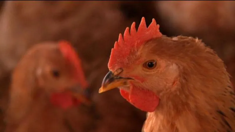 Rozhovor s Martinou Havlíčkovou