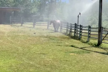 V Kanadě udeřily vysoké teploty. Spalující vedro má na svědomí stovky úmrtí