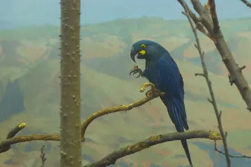 Pavilon pro velká zvířata není zvětšený lidský dům. Musí být přirozený, říká architekt z pražské zoo