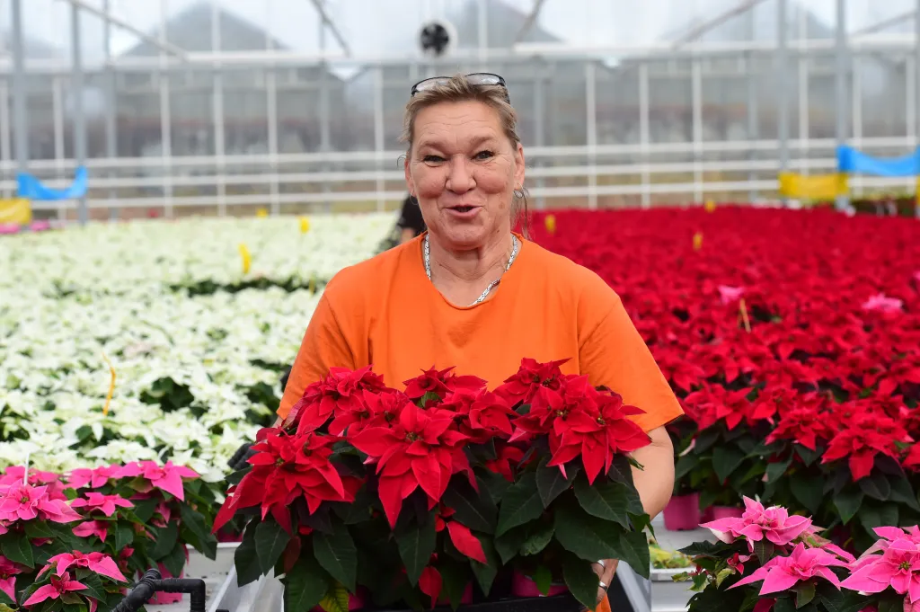 Velká většina produkce je určena pro charitativní sbírku Vánoční hvězda 2021 pro obecně prospěšnou společnost Šance