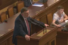 Opozice podle Stanjury vytváří fantasmagorické konstrukce