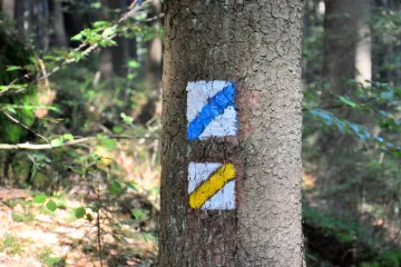 V Ústeckém kraji mají problém s turistickým značením. Může za to loňský požár národního parku i kůrovec