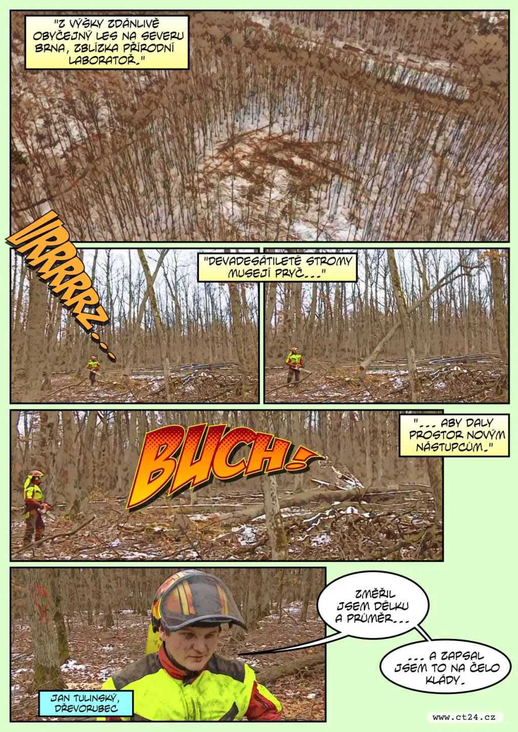 Pokácením lesa k jeho záchraně. Díky obrážení pařezů by měl být nový porost odolnější