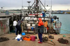 Londýn dal Paříži ultimátum dvou dní na ukončení sporu o rybolov 