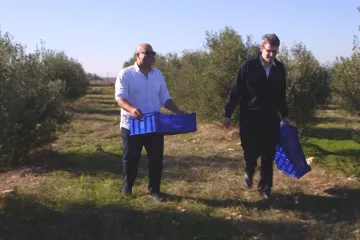 Kyperská jednota v lahvích oleje. Půlka oliv vyrostla na severu, půlka na jihu