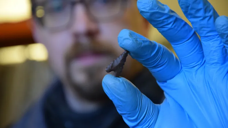 Drobné – a smrtící