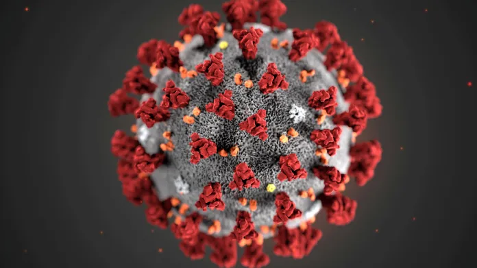 Model nového koronaviru