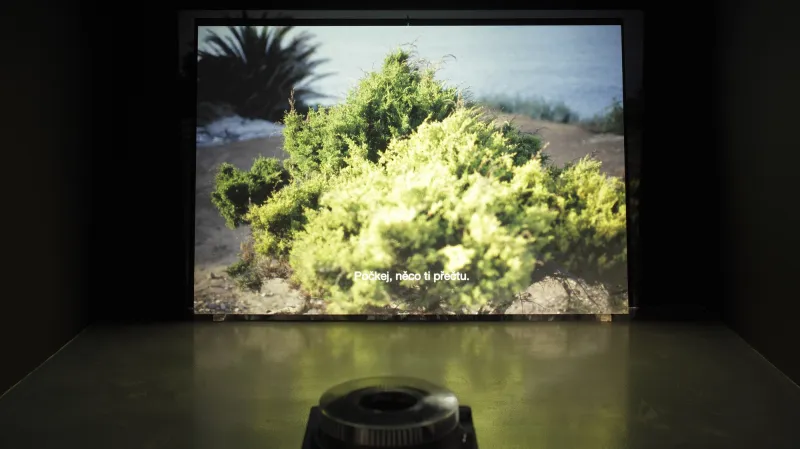 Výstava finalistů CJCH 2011 v DOX