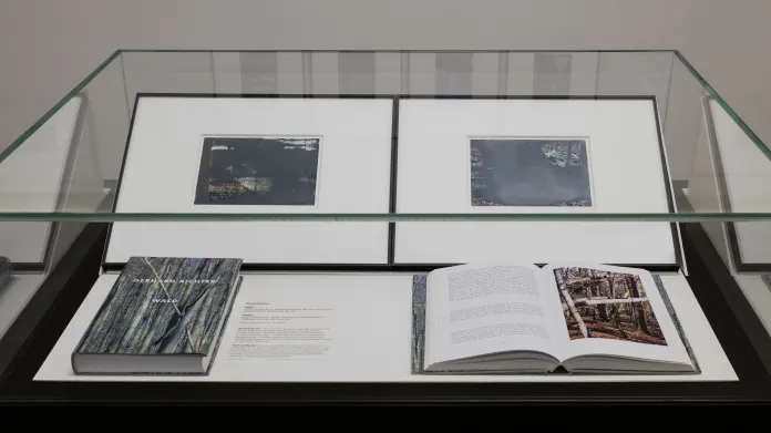 Z výstavy Gerhard Richter: Přemalované fotografie (lze použít jen v souvislosti s touto výstavou)