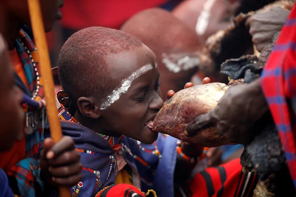 Chlapec z kmene Masajů ukusuje býčí srdce při oslavách vstupu do dospělosti v okrese Kajiado v Keni