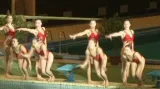 Vystoupení synchronizovaných plavkyň