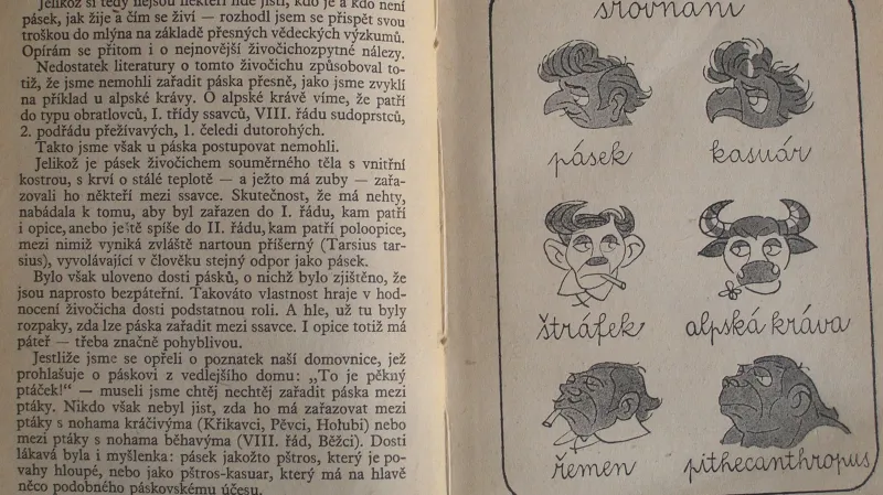 Ukázka z knihy Pásek