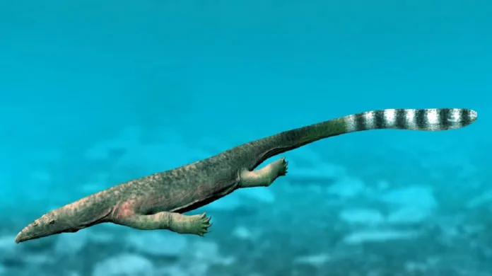 Rekonstrukce podoby thalattosaura