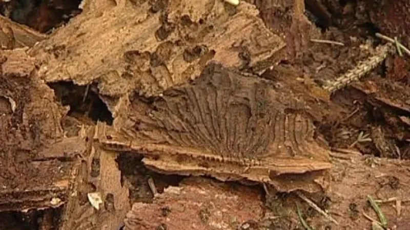 Rozhovor s Václavem Cílkem