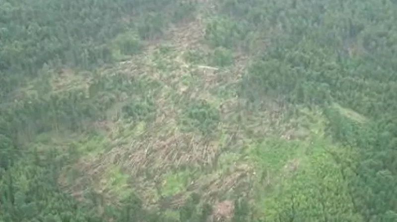 NO COMMENT: Masarykův les nyní - letecké záběry