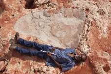 Vědci našli největší dinosauří stopu vůbec. Je velká jako dospělý muž. Komu patřila?