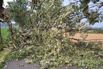 Hasiče zaměstnaly pondělní bouřky, evakuovali i dětský tábor