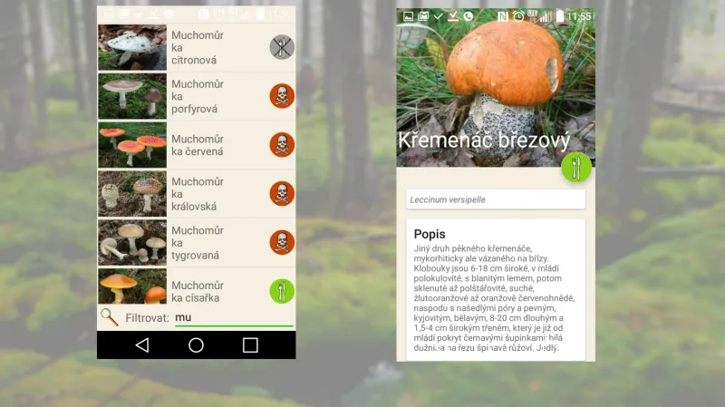Aplikace Na houby