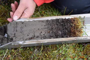V Arktidě se objevují zárodky rašelinišť. Klimatologové zbystřili