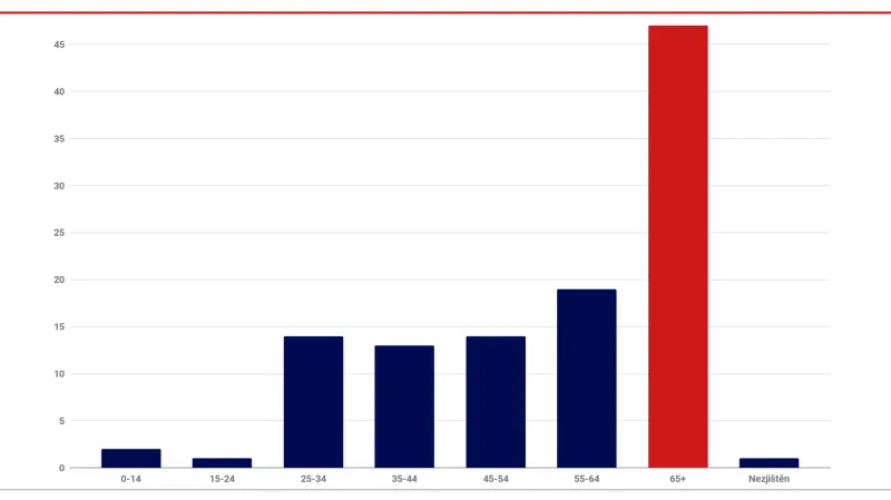 Chování viníků nehod z řad chodců