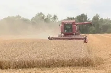 Přes úbytek orné půdy dosahuje letošní úroda pětiletého maxima
