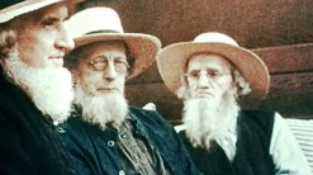 Amišové