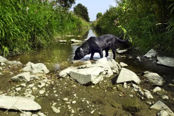 Sucho, povodně a více tropických dní. Vědci představili nejpřesnější model klimatických změn pro Česko