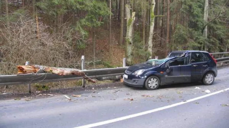 Strom spadl na projíždějící ford