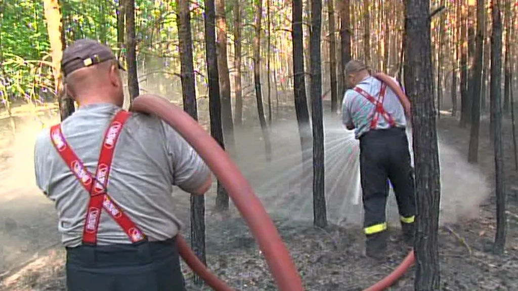 Hasiči polévají les u Bzence