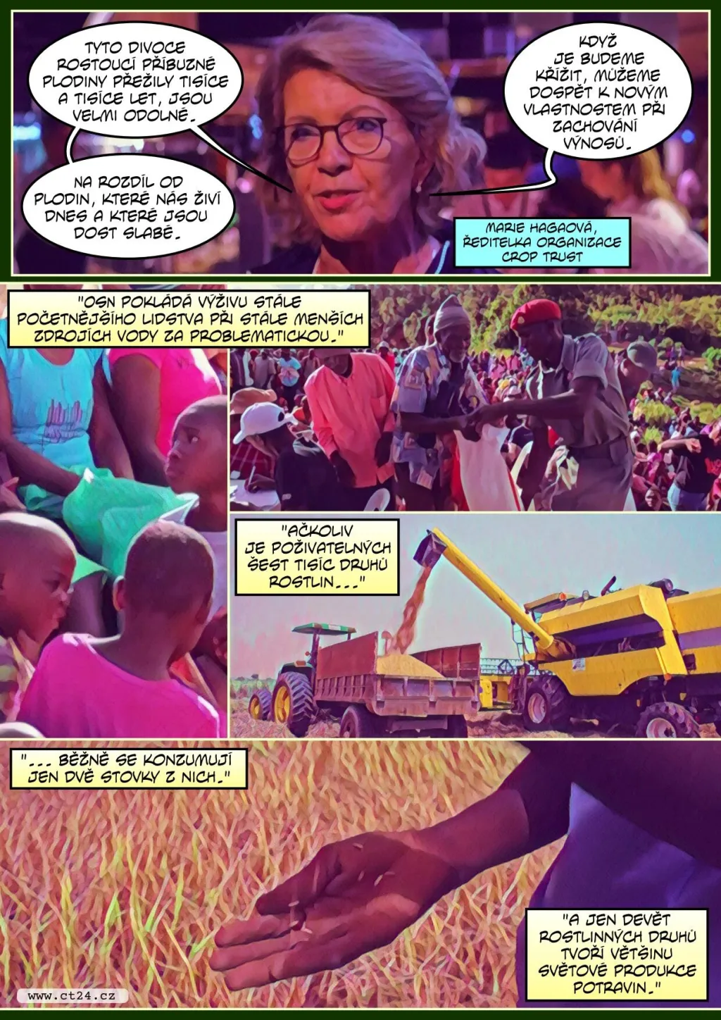 Úroda je kvůli změnám klimatu stále více nejistá. Vědci se snaží současné plodiny geneticky posílit