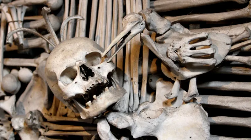 Kostnice v Kutné Hoře