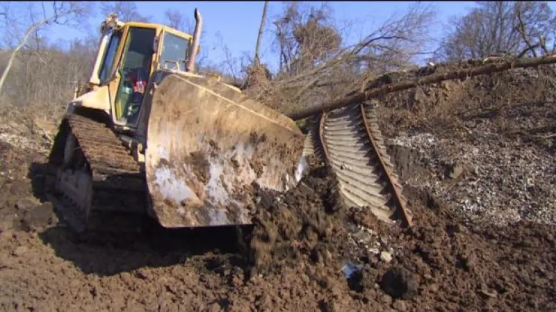Dřevorubci začali s kácením stovek stromů