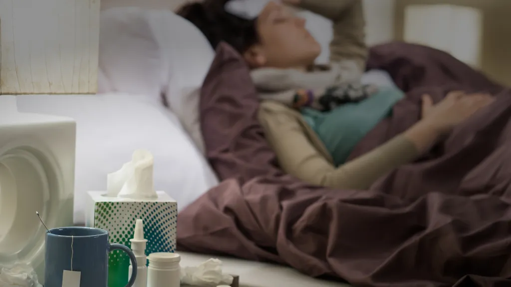 Epidemie chřipky v ČR obvykle začíná v druhé půli ledna