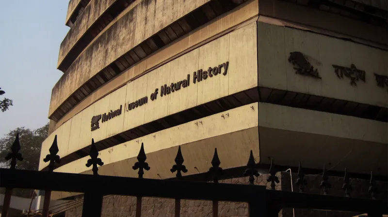 Muzeum v Novém Dillí