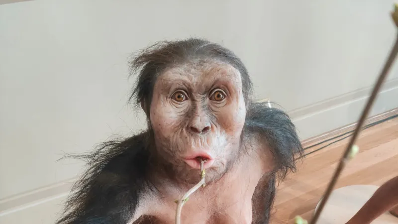 Hyperrealistický model Lucy, který bude vystavený v Národním muzeu