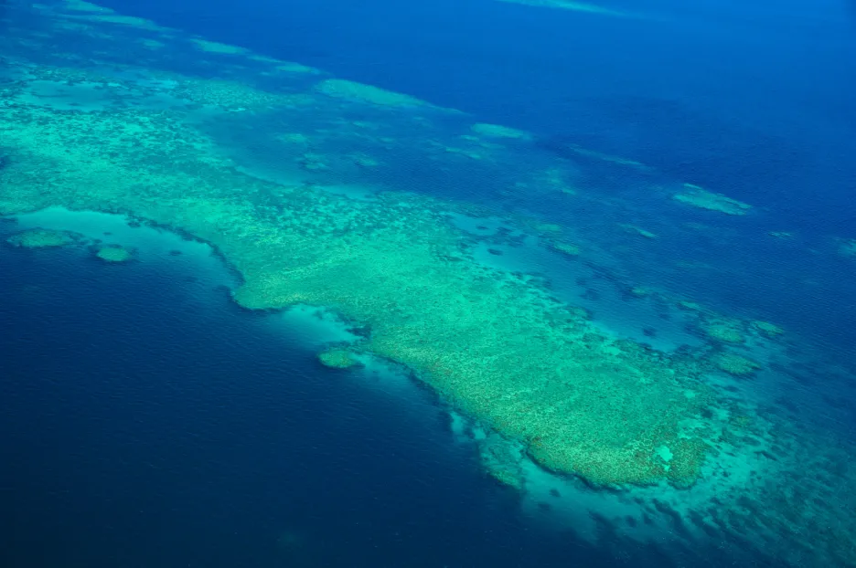 У берегов австралии расположен остров. Большой Барьерный риф Австралия. Большой риф расположенный у берегов Австралии. Большой Барьерный риф Австралия ночью. Большой Барьерный риф вид из космоса.