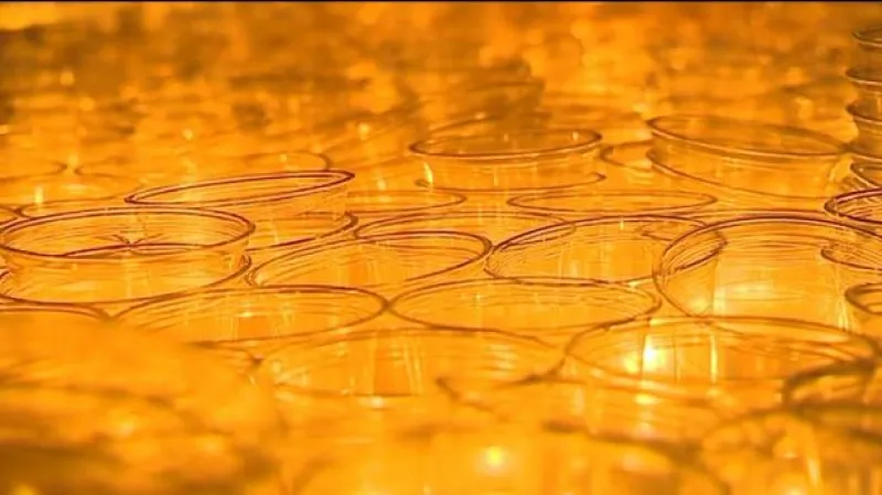 Reportáž Martina Jonáše